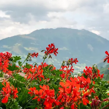 Haus Wilma Apartment *